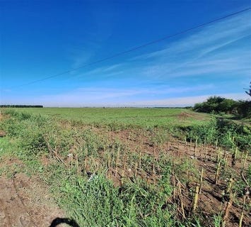 /international/ro/soseaua-focsani-braila-braila-310100794520/