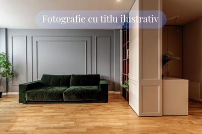 /international/ro/timisoara-timis-county-310107369385/?lang=de