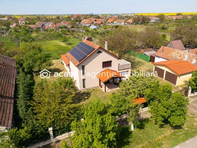 /international/ro/paulis-hunedoara-310107578409/