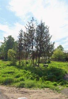 /international/ro/soseaua-oltenitei-popesti-leordeni-ilfov-county-310101105479/?lang=zh-tw
