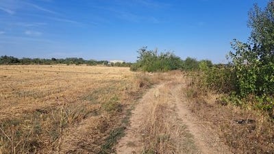 /international/ro/ciocanari-dambovita-county-310103348654/
