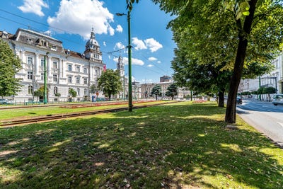 /international/ro/arad-alba-county-310109072922/