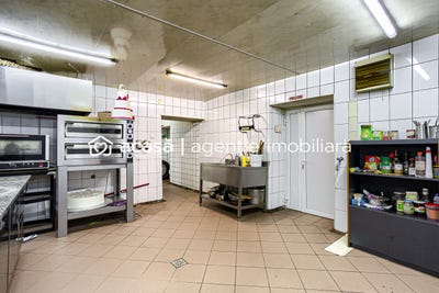 /international/ro/arad-alba-county-310107371589/