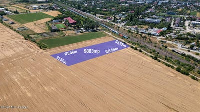 /international/ro/t-31-p-275-buftea-buftea-bucharest-310100931111/?lang=en