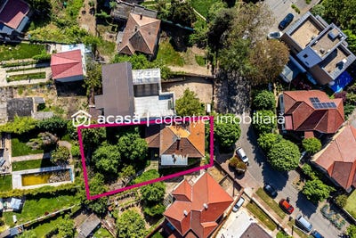 /international/ro/arad-alba-county-310107643460/