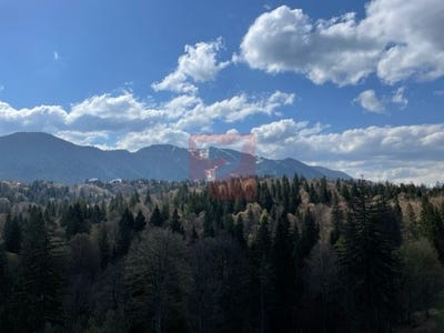 /international/ro/strada-doinasului-poiana-brasov-brasov-310108261705/