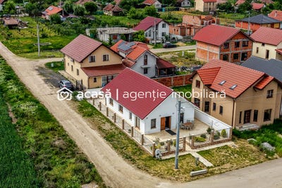 /international/ro/tisa-noua-arad-310107967939/
