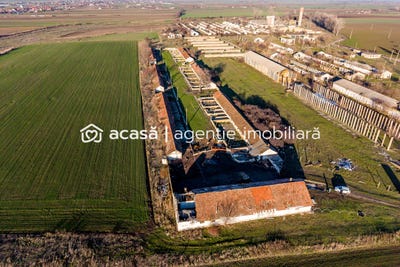 /international/ro/nadlac-arad-310107370806/