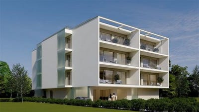 /international/ro/olimp-olimp-constanta-310108566229/