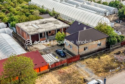 /international/ro/seleus-arad-310107912778/