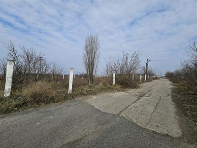 /international/ro/ozanei-harsova-constanta-310108566191/
