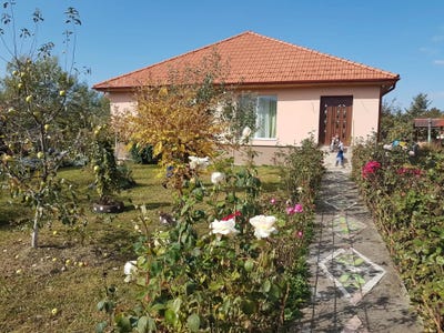 /international/ro/maramures-maramures-county-310100237272/