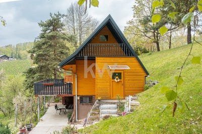 /international/si/kamnica-maribor-310107671036/