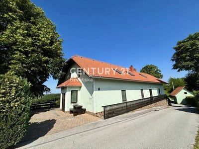 /international/si/drava-region-ptuj-310106857473/