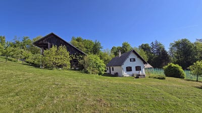 /international/si/gorica-na-medvedjeku-municipality-of-trebnje-trebnje-310105376587/