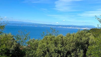 /international/si/43-a-belokriska-cesta-portoroz-piran-310108243616/