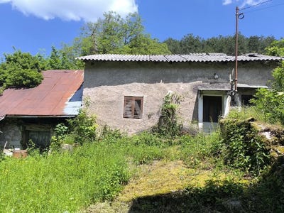 /international/si/obrov-sezana-310108481847/