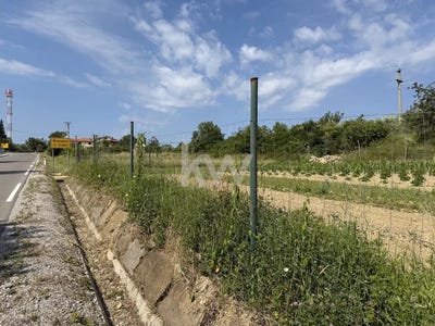 /international/si/koper-koper-310108833408/