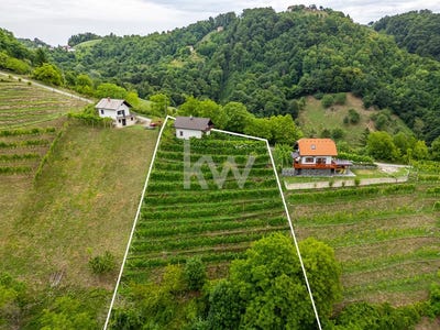 /international/si/majsperk-ptuj-310107580000/