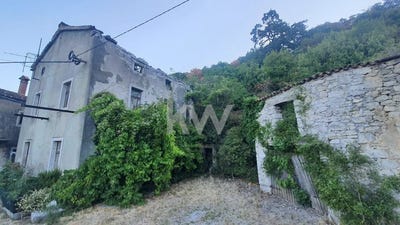 /international/si/koper-koper-310108481034/