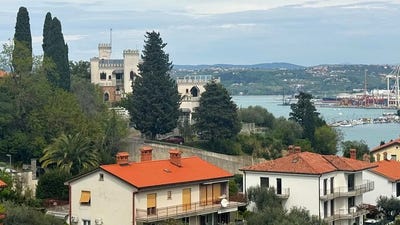 /international/si/semedela-koper-koper-310108969583/