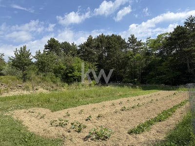 /international/si/koper-koper-310108835198/