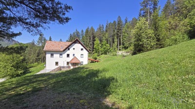 /international/si/gorenja-trebusa-gorenja-trebusa-tolmin-310105380098/