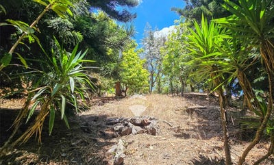 /international/sv/calle-al-volcan-chiltiupan-la-libertad-chiltiupan-la-libertad-department-310107648261/