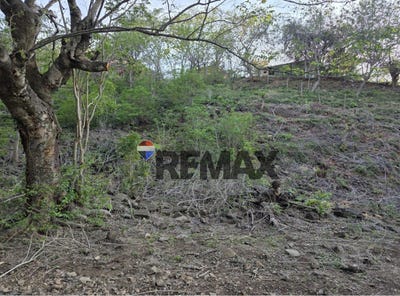 /international/sv/terrenos-en-venta-san-antonio-pajonal-carretera-a-la-piedrona-san-antonio-pajonal-santa-ana-san-antonio-pajonal-santa-ana-310107333444/