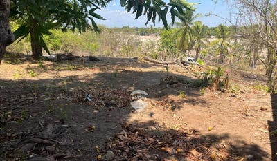 /international/sv/parcelacion-estancias-vistas-del-mar-lotes-9-10-y-11-poligono-b-km-46-5-carretera-del-litoral-la-libertad-costa-l-l-la-libertad-la-libertad-la-libertad-la-libertad-department-310108163913/