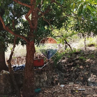 /international/sv/sub-lot-numero-uno-del-lote-numero-8-hacienda-santa-adela-la-libertad-la-libertad-la-libertad-la-libertad-department-310107565349/