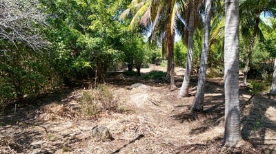 /international/sv/las-veraneras-poligono-b-3-lote-19-canton-los-cobanos-acajutla-sonsonate-acajutla-sonsonate-acajutla-sonsonate-310106223379/