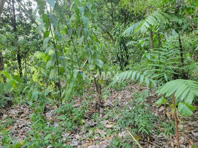 /international/sv/canton-el-carmen-a-200-m-del-centro-escolar-santo-tomas-san-salvador-santo-tomas-san-salvador-310108248167/