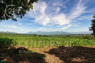 /international/sv/canton-san-rafael-y-la-gloria-el-trapiche-tacuba-s-n-tacubita-ahuachapan-ahuachapan-310101225158/?lang=en