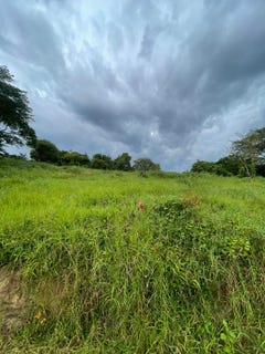 /international/sv/canton-piedras-gordas-santa-rita-chalatenango-piedras-gordas-chalatenango-piedras-gordas-chalatenango-310101533872/?lang=en
