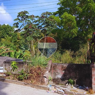/international/sv/pasaje-anzora-calle-saprissa-colonia-san-antonio-canton-el-limon-10-b-soyapango-san-salvador-este-san-salvador-soyapango-san-salvador-soyapango-san-salvador-310103640293/