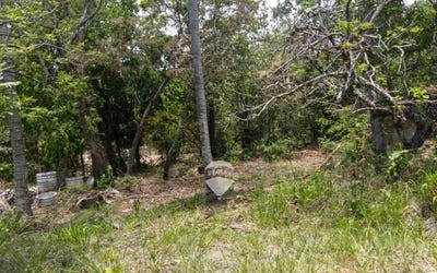 /international/sv/lote-7-poligono-2-san-nicolas-apopa-y-las-flores-y-transito-tonacatepeque-san-salvador-este-san-salvador-tonacatepeque-san-salvador-tonacatepeque-san-salvador-310107837883/