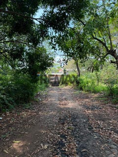 /international/sv/canton-ashapuco-finca-la-esperanza-jurisdiccion-de-ahuachapan-centro-ahuachapan-ashapuco-ahuachapan-ashapuco-ahuachapan-310108329891/