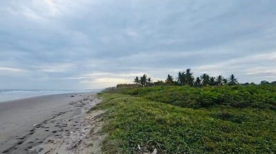 /international/sv/playa-el-icacal-intipuca-la-union-intipuca-la-union-department-310101019691/