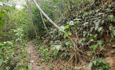 /international/sv/jujutla-jujutla-ahuachapan-jujutla-ahuachapan-310107705297/