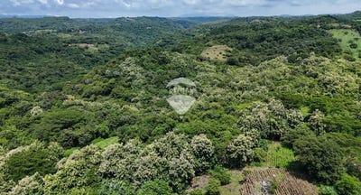 /international/sv/porcion-segregada-del-canton-san-diego-la-aguja-la-libertad-costa-la-libertad-la-libertad-la-libertad-la-libertad-department-310107498203/