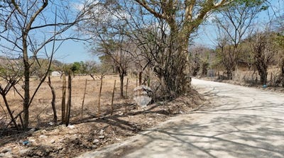 /international/sv/canton-chilamates-jurisdiccion-de-nueva-concepcion-chalatenango-lugar-conocido-arracados-nueva-concepcion-chalatenango-nueva-concepcion-chalatenango-310106054014/
