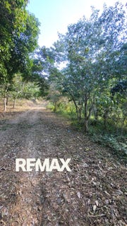 /international/sv/a-5-km-de-turin-turin-ahuachapan-turin-ahuachapan-310106017749/