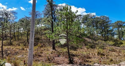 /international/sv/parcelacion-el-espino-iii-poligono-h-lote-1-calle-los-cipreses-lugar-llamado-los-tarros-la-palma-chalatenango-norte-chalatenango-la-palma-chalatenango-la-palma-chalatenango-310106752120/