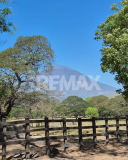 /international/sv/canton-la-puerta-caserio-cantora-la-puerta-san-miguel-la-puerta-san-miguel-310107565386/
