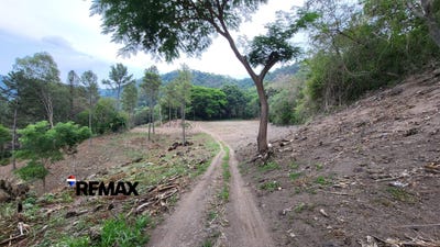 /international/sv/calle-que-conduce-a-san-antonio-pajonal-candelaria-de-la-frontera-santa-ana-candelaria-de-la-frontera-santa-ana-310108376989/