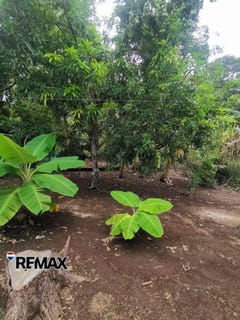 /international/sv/lotificacion-joya-ancha-santa-elena-usulutan-santa-elena-usulutan-santa-elena-usulutan-310108763460/