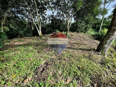 /international/sv/finca-el-astillero-porcion-1-calle-a-comasagua-santa-tecla-santa-tecla-la-libertad-santa-tecla-la-libertad-department-310101110724/?lang=zh-tw
