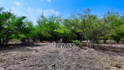 /international/sv/kilometro-36-carretera-que-conduce-a-chalatenango-aguilares-san-salvador-el-salvador-aguilares-san-salvador-aguilares-san-salvador-310108056667/