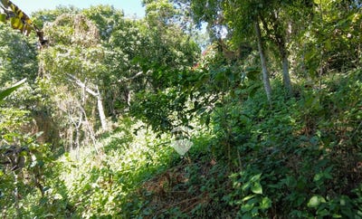 /international/sv/lugar-denominado-como-la-carbonera-san-pedro-nonualco-la-paz-san-pedro-nonualco-la-paz-san-pedro-nonualco-la-paz-department-310107368346/